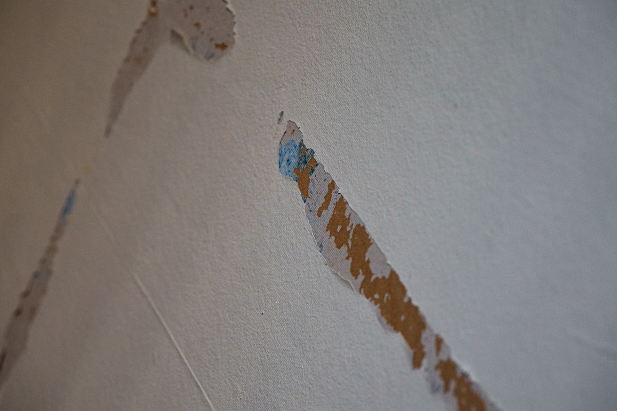 Structural Drying service in Bonita Springs, FL